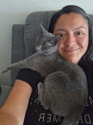 Lost Female Cat last seen Main St and Rincon St Artisan at Main Street Metro, Corona, CA 92878