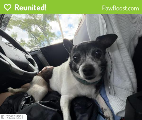 Reunited Female Dog last seen Crosstown, Memphis, TN 38107