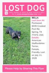 Reunited Female Dog last seen Treaschwig Street, Spring, TX 77373