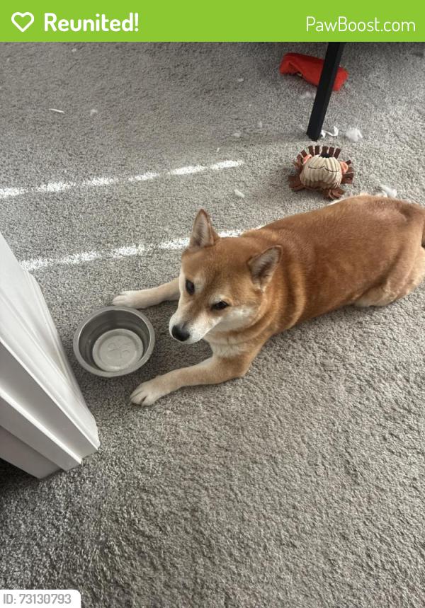 Reunited Male Dog last seen Watercolor Community, North Las Vegas, NV 89086