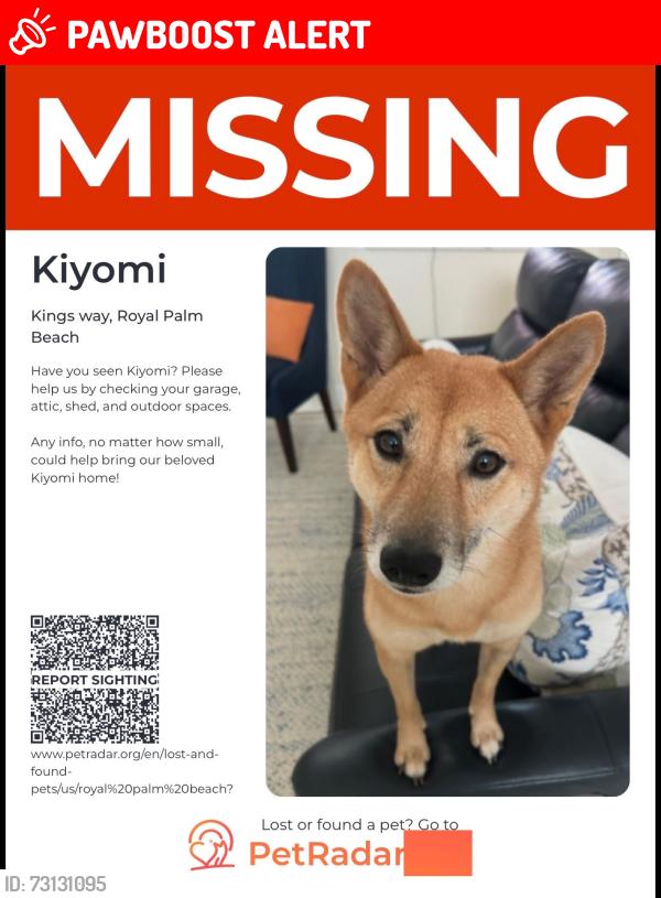Lost Female Dog last seen Kinghts ct Royal Palm Beach, Royal Palm Beach, FL 33411