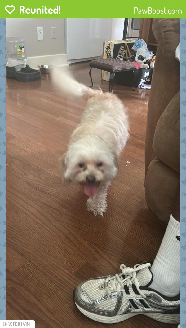 Reunited Female Dog last seen Alden Glen, Kingwood, TX 77339