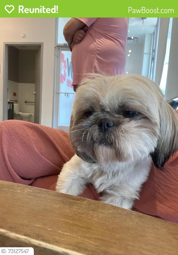 Reunited Female Dog last seen Pine Meadows between North Tarrant Parkway and Thompson, Fort Worth, TX 76244