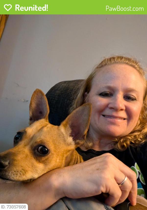 Reunited Female Dog last seen Arnold St by Bishop Development Center, Topeka, KS 66614