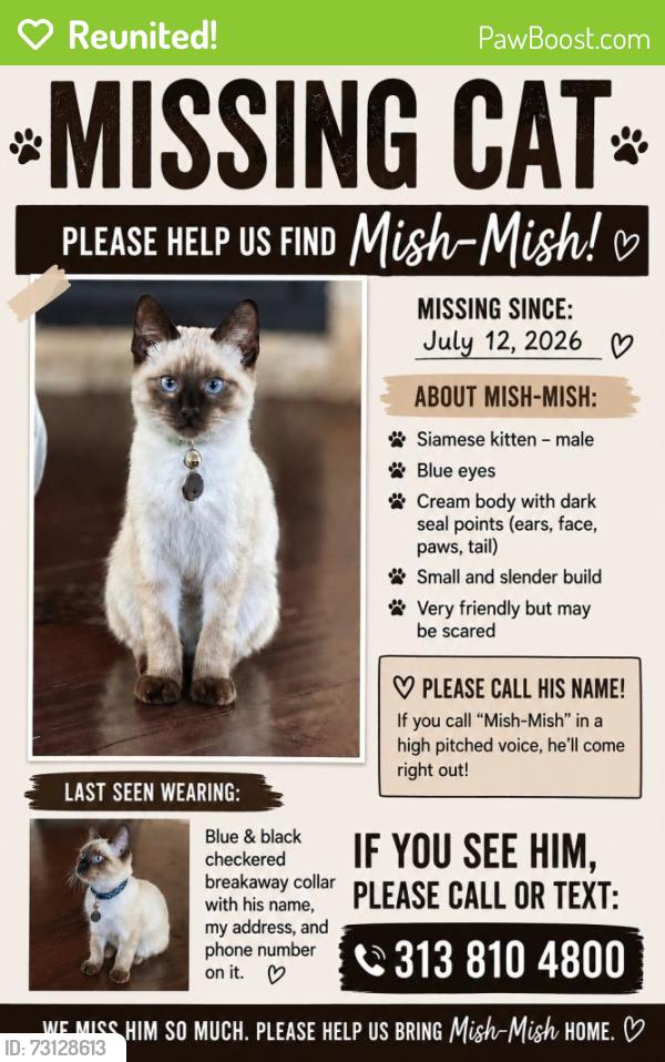 Reunited Male Cat last seen Near Mead St, Dearborn, MI 48126, USA, Dearborn, MI 48126