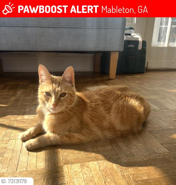 Lost Male Cat last seen Stoneybrook Way and Cooper Lake, Mableton, GA 30126