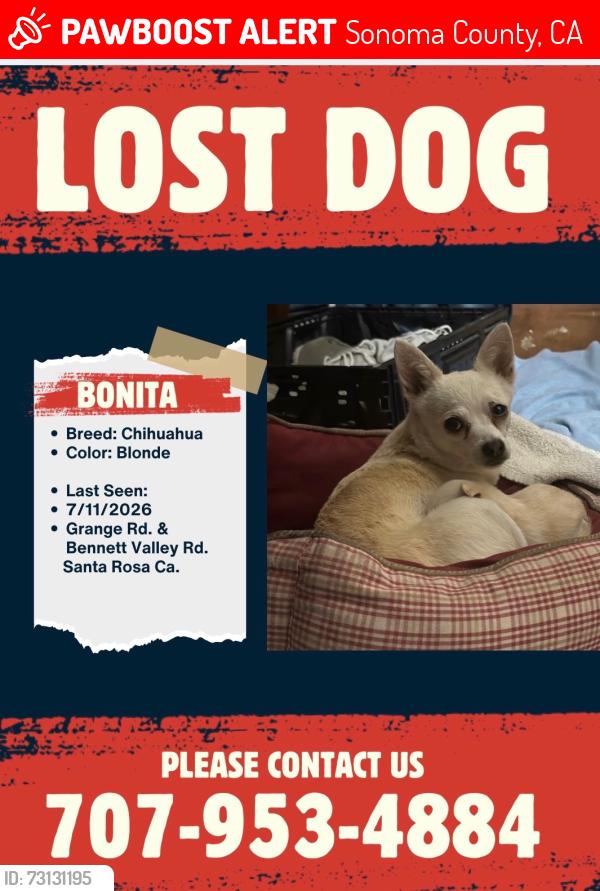 Lost Female Dog last seen Gated driveway on Grange Road by Bennett Valley Road, Sonoma County, CA 95404