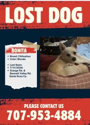 Lost Female Dog last seen Gated driveway on Grange Road by Bennett Valley Road, Sonoma County, CA 95404