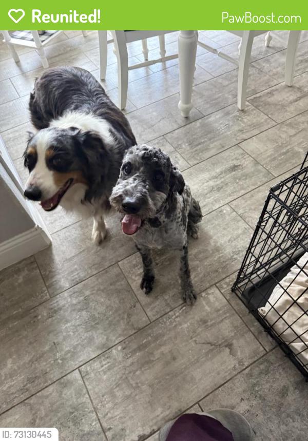 Reunited Male Dog last seen Near Town Creek Cir, Weatherford, TX 76086, USA, Weatherford, TX 76086