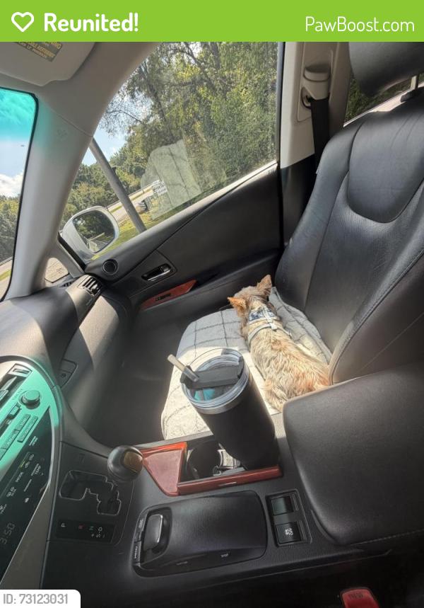 Reunited Female Dog last seen Corner of Savannah street in Tucker farms, Odenville, AL 35120