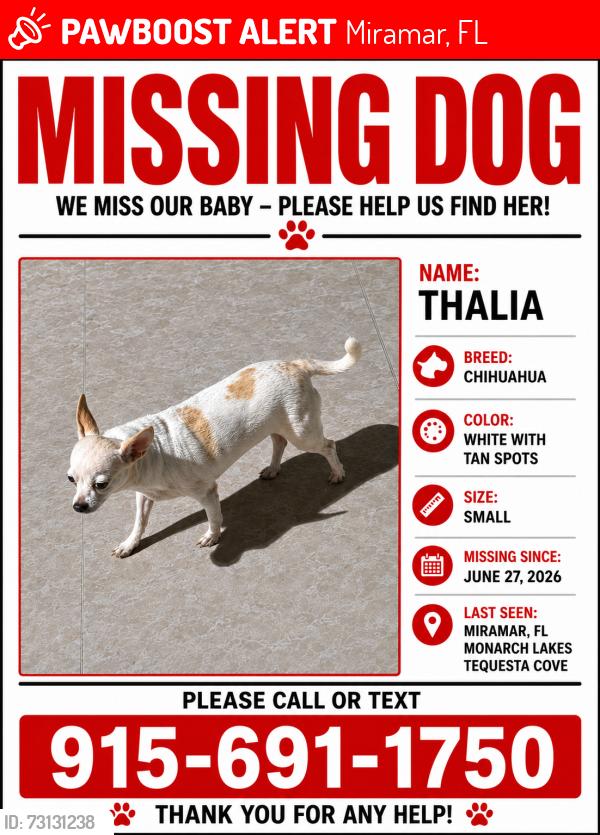 Lost Male Dog last seen Tequesta cove, Monarch lakes, Miramar, FL, Miramar, FL 33027