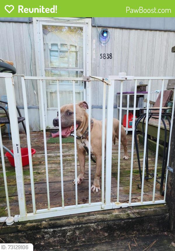 Reunited Male Dog last seen PINE BLOSSOM ROAD, Milton, FL 32570