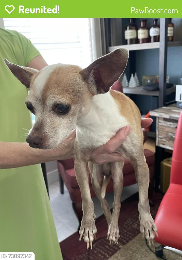 Reunited Male Dog last seen Cactus Hills, San Antonio, TX 78254