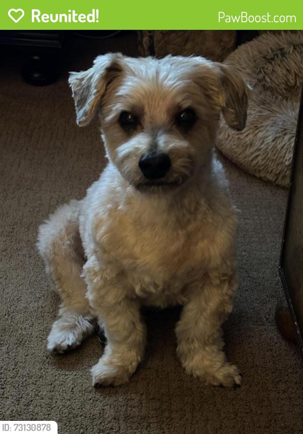 Reunited Male Dog last seen Vergus Ave & Lake View Dr., Jordan, MN, Spring Lake Township, MN 55352
