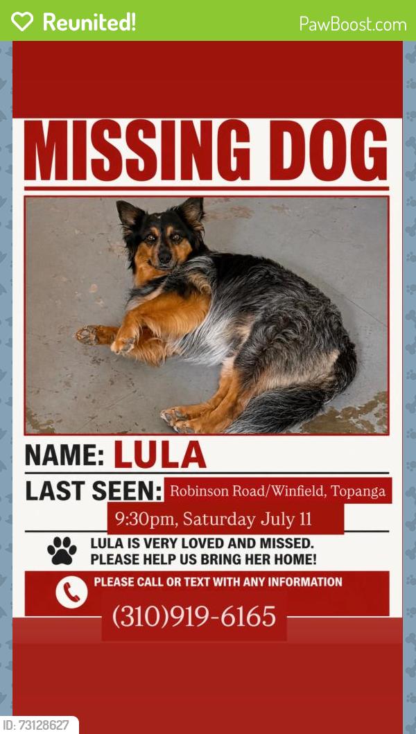 Reunited Female Dog last seen Robinson Road and Winfield Rd, near Topanga Canyon Blvd, Topanga, CA 90290