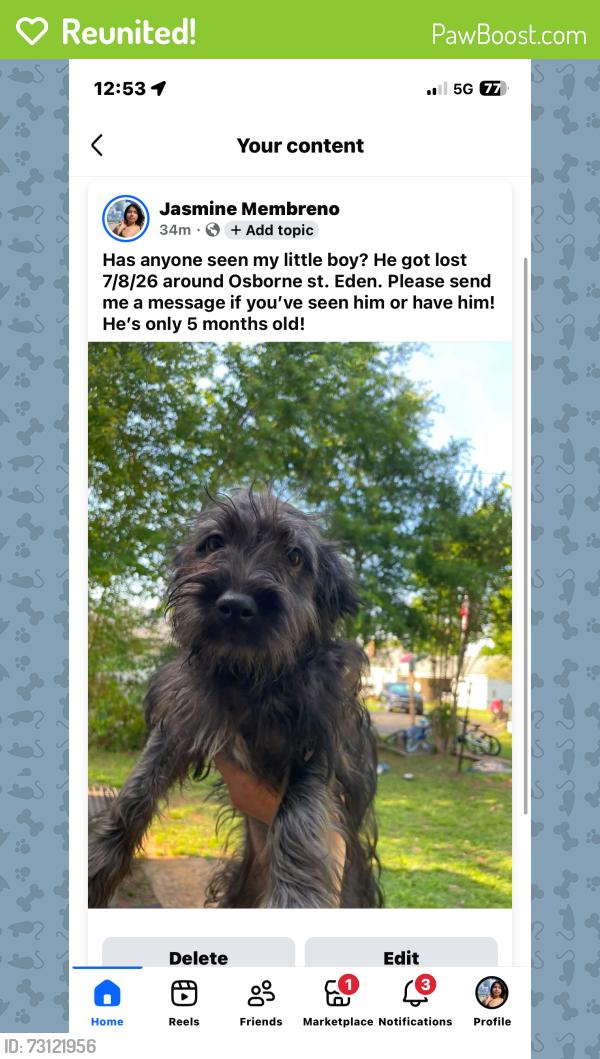 Reunited Male Dog last seen Osborne st. Eden, NC, Eden, NC 27288