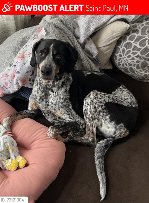 Lost Male Dog last seen Bush ave and Atlantic, Saint Paul, MN 55106