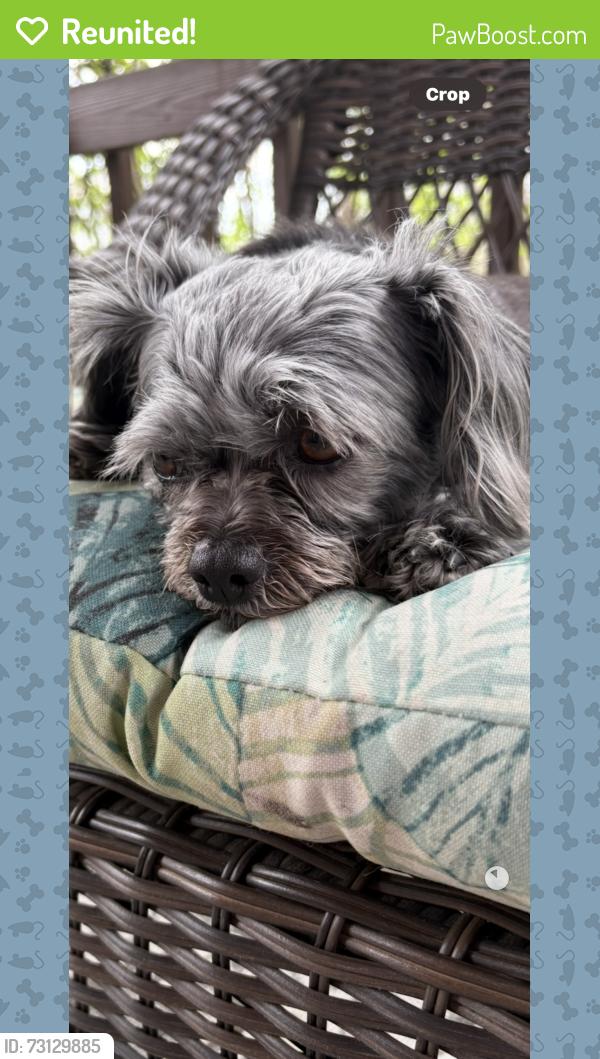 Reunited Female Dog last seen Constellation and Trilby, Fort Collins, CO 80525