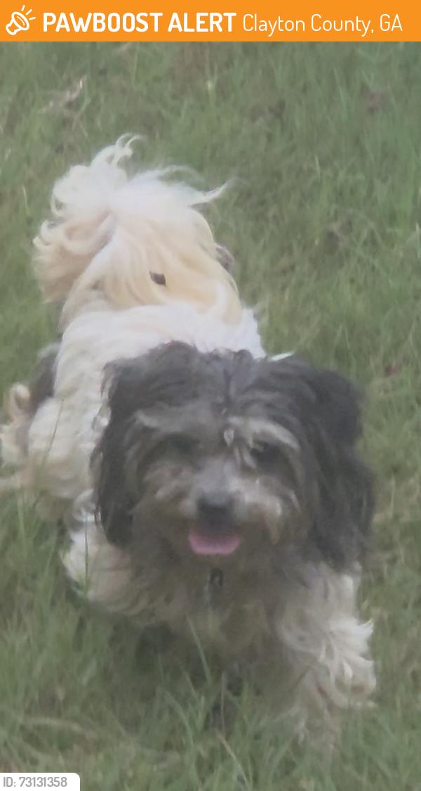 Found/Stray Unknown Dog last seen Off tara rd, Clayton County, GA 30228