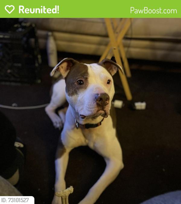 Reunited Male Dog last seen 38th Street and Montadon Ln, Kansas City, KS 66104