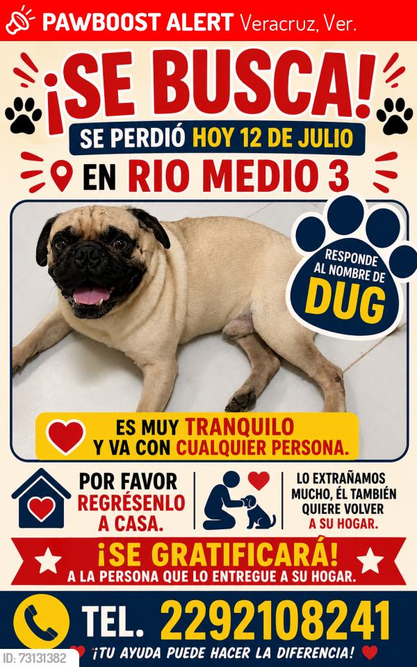 Lost Male Dog last seen Río medio 3, Veracruz, Ver. 91809