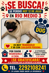 Lost Male Dog last seen Río medio 3, Veracruz, Ver. 91809