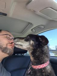 Reunited Female Dog last seen Park in Crestview Subdivision, Crowley, TX 76036