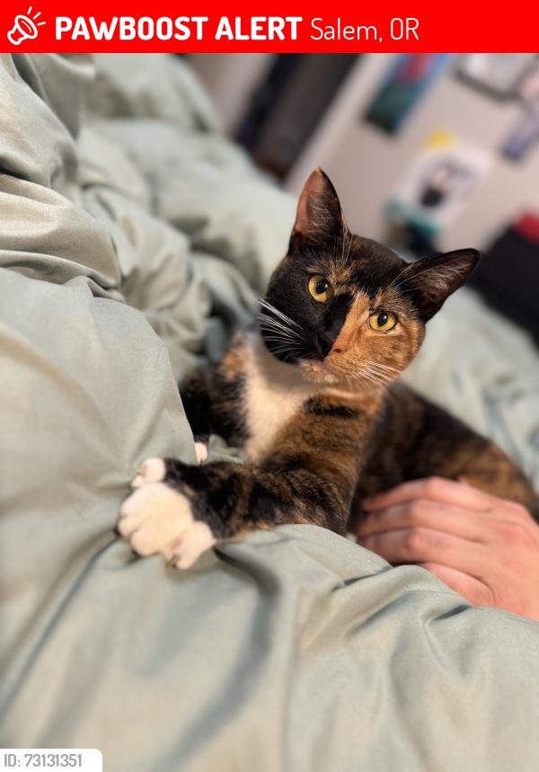 Lost Female Cat last seen Near Portland rd ne, Salem, OR 97305
