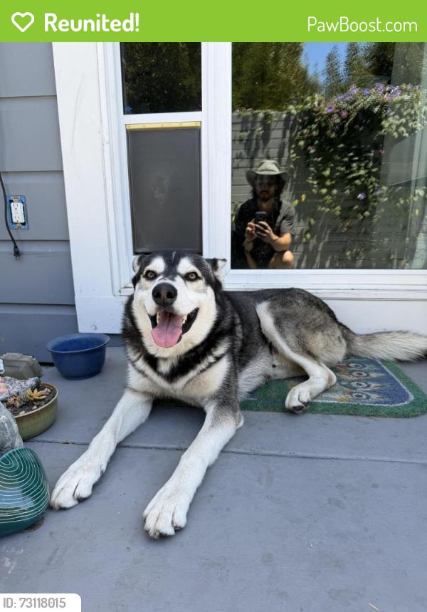 Reunited Male Dog last seen Near 23rd ave, Oakland, CA 94606