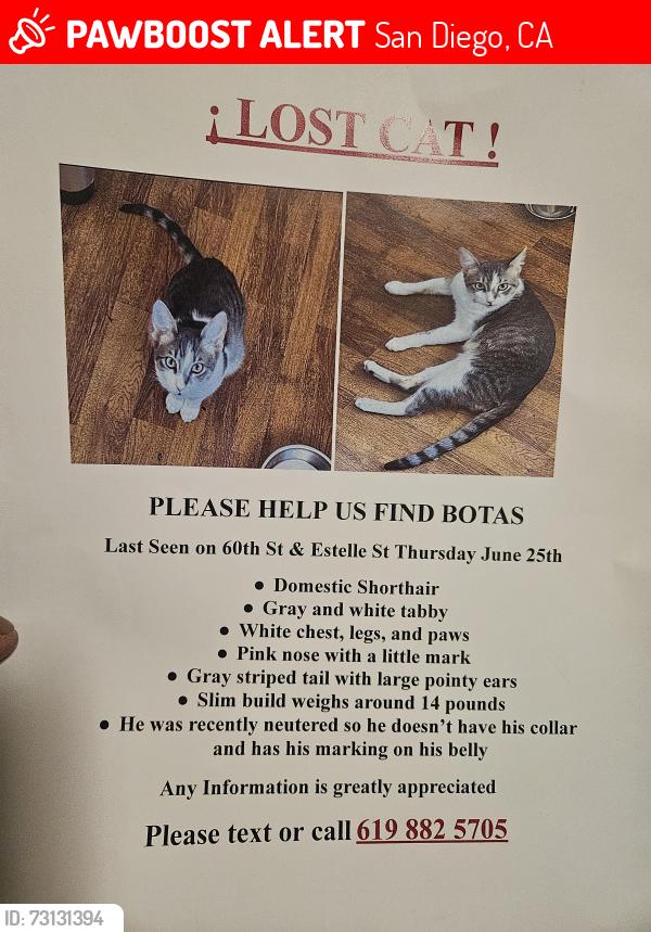 Lost Male Cat last seen College, San Diego, CA 92115