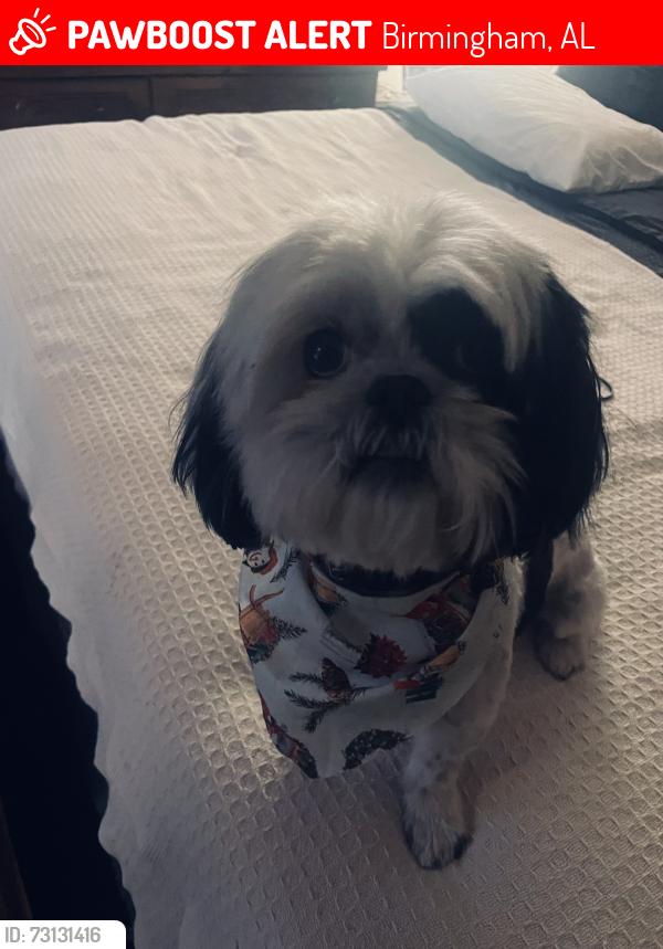 Lost Female Dog last seen 5 Mile Rd Roebuck Robinson Dr., Birmingham, AL 35205