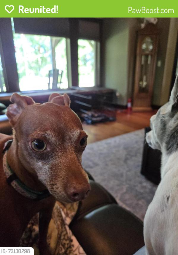 Reunited Female Dog last seen Winery, Cedar Lake Township, MN 55372