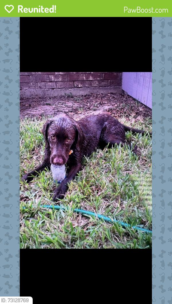 Reunited Male Dog last seen N/A, La Joya, TX 78560