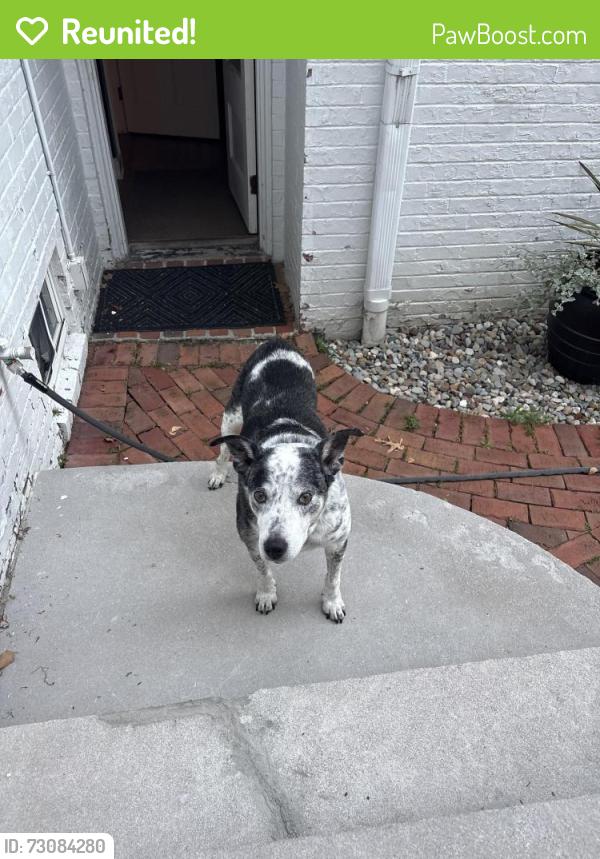 Reunited Male Dog last seen Near Hampshire Rd, Akron, OH 44313