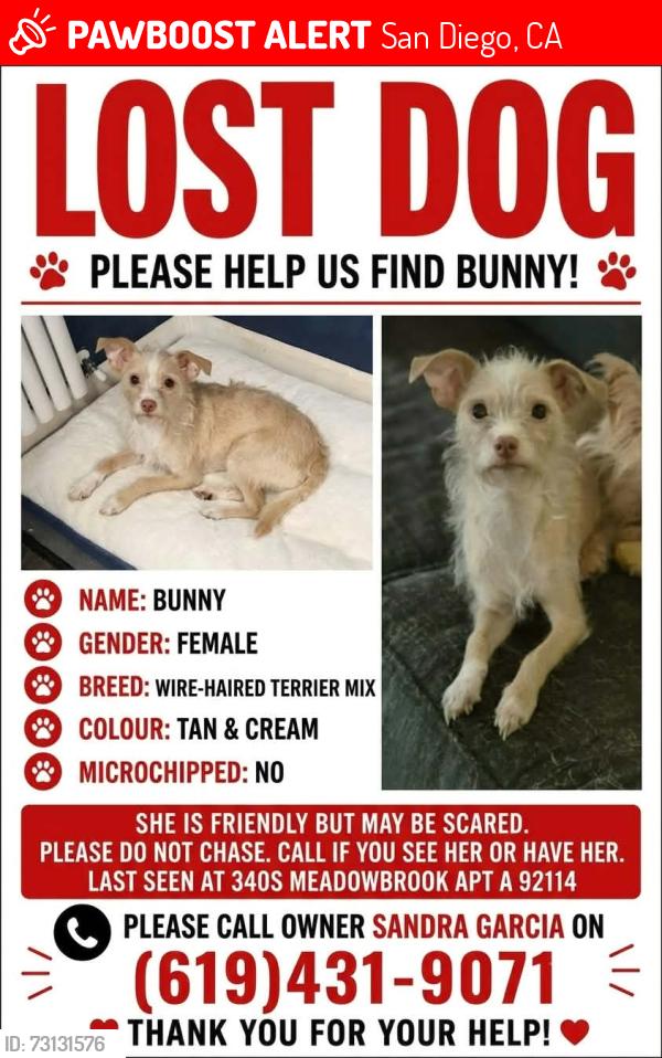 Lost Female Dog last seen Paradise valley, San Diego, CA 92114