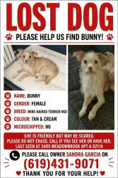 Lost Female Dog last seen Paradise valley, San Diego, CA 92114