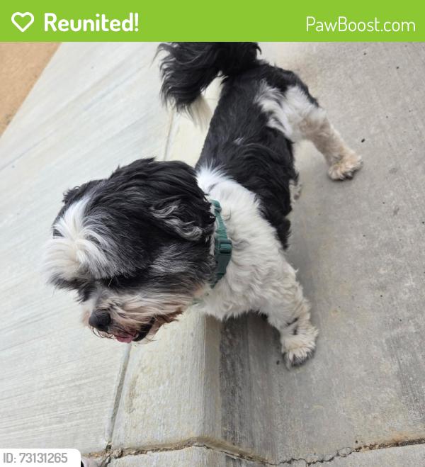 Reunited Unknown Dog last seen Temecula canyon high school, Lake Elsinore, CA 92532