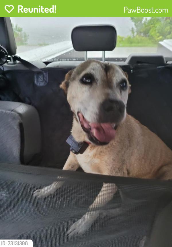 Reunited Unknown Dog last seen County Line Road, Jensen Beach, Jensen Beach, FL 34957