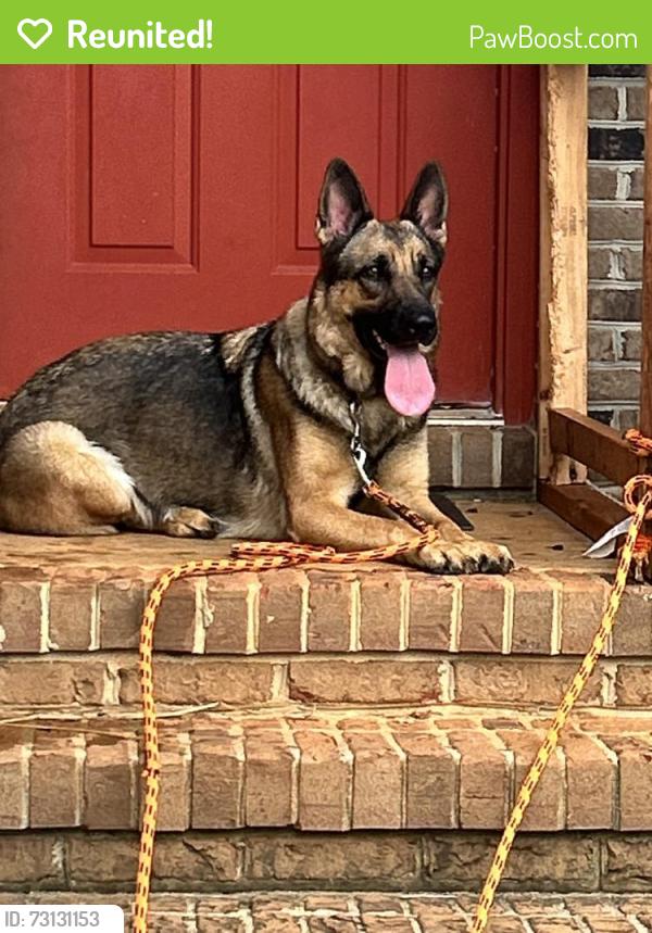 Reunited Female Dog last seen Granite Quarry, NC 28146, USA, Granite Quarry, NC 28146