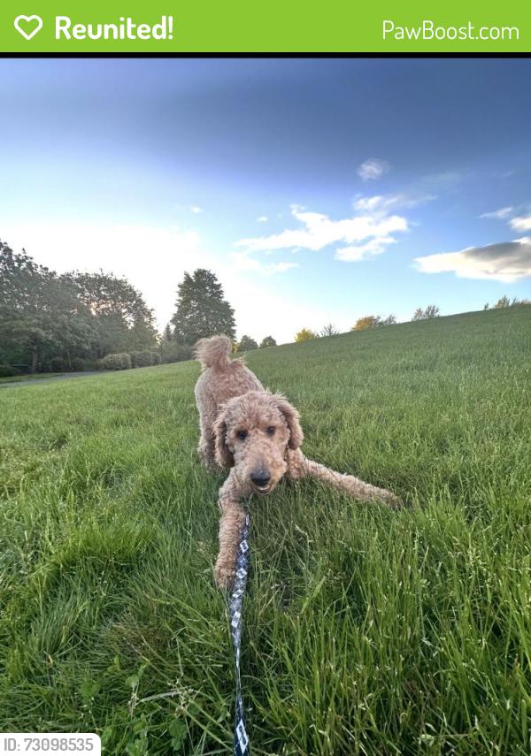 Reunited Male Dog last seen East St Portland, OR 97224 United States, King City, OR 97224