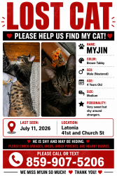 Lost Male Cat last seen 41st and 40th st , Covington, KY 41015