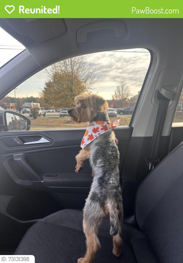 Reunited Male Dog last seen Turnpike rd, Raeford, NC 28376