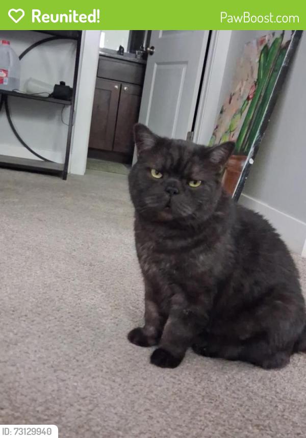 Reunited Male Cat last seen Near W Nikos Lane, South Jordan, UT, 84095, South Jordan, UT 84095