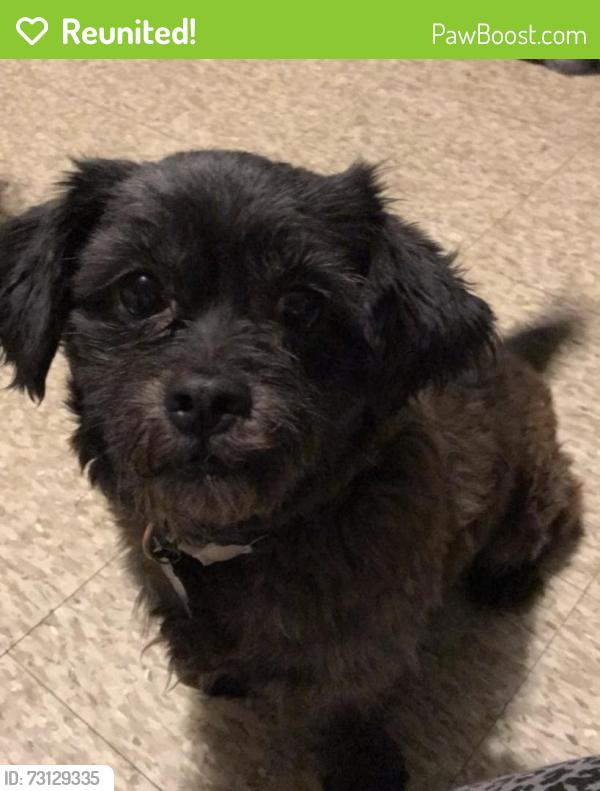Reunited Male Dog last seen Bluehills ave, Hartford, CT 06002