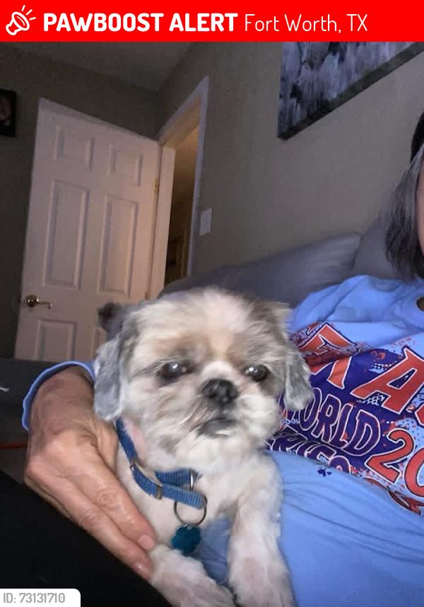 Lost Male Dog last seen Bolt and Hemphill, Fort Worth, TX 76110