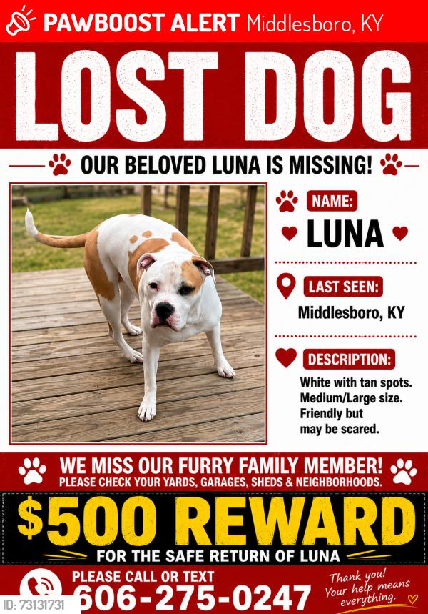 Lost Female Dog last seen Creek in between Winchester Ave. and Cumberland Ave., Middlesboro, KY 40965