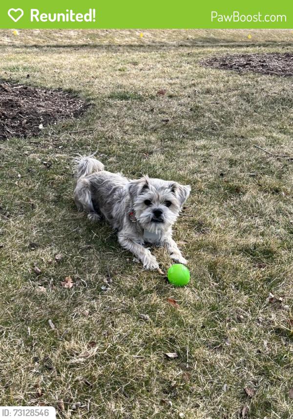 Reunited Male Dog last seen Lac la Belle and La Belle Villa, Oconomowoc, WI 53066