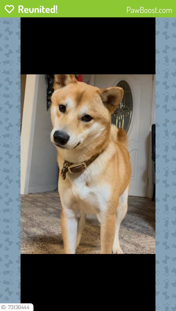 Reunited Male Dog last seen Bells Ferry Rd & New Chastain, Cobb County, GA 30144