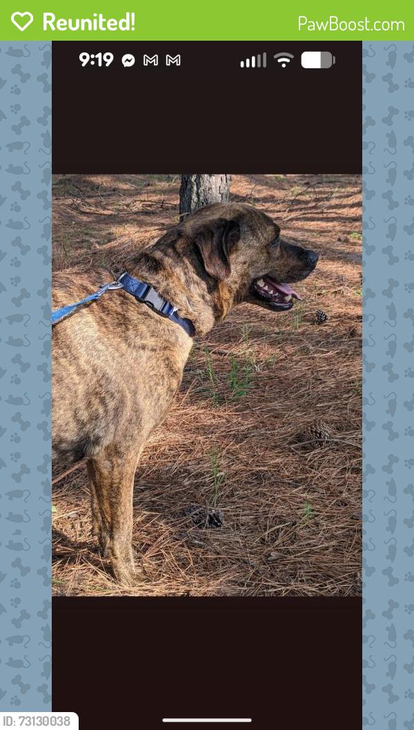 Reunited Male Dog last seen Near Cypress Park Rd, Greensboro, NC 27407, USA, Greensboro, NC 27407