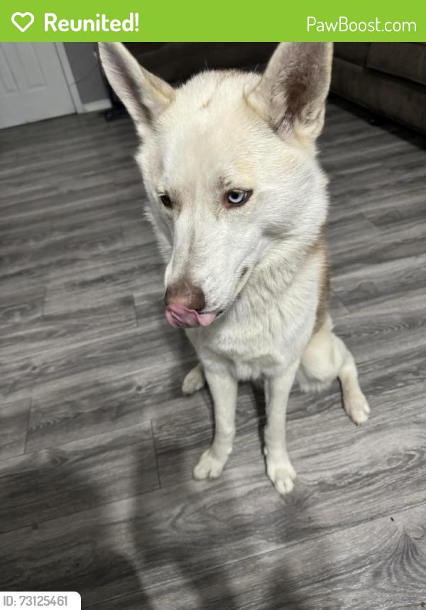 Reunited Male Dog last seen Montbello, Denver, CO 80239